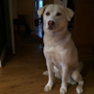 Meet your Posher, Necie